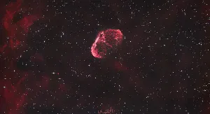 عدسة عمانية